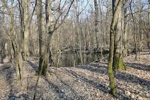 Chojnów Landscape Park image