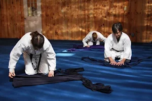 Berkshire Hills Aikido image