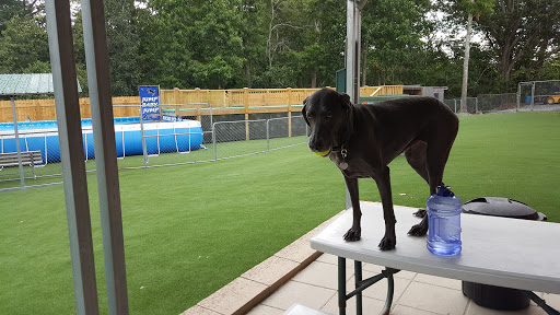 Pet Supply Store «Rucker Horse & Pet», reviews and photos, 3540 Keith Bridge Rd, Cumming, GA 30041, USA