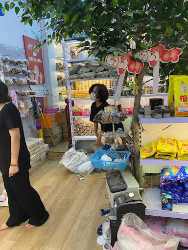 Top 1 cửa hàng lolipet Huyện Trấn Yên Yên Bái 2022