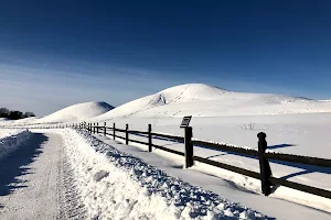 Gamla Uppsala image