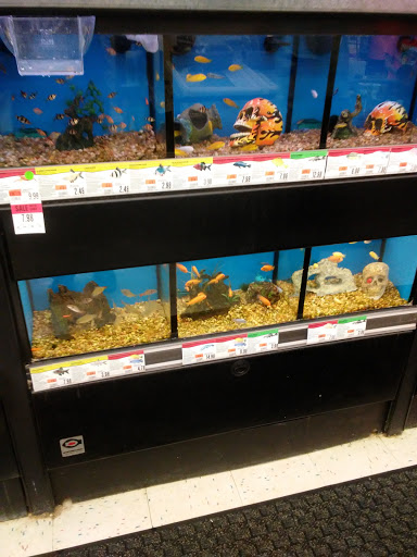 Pet Supply Store «Pet Supplies Plus», reviews and photos, 4488 Commercial Dr, New Hartford, NY 13413, USA