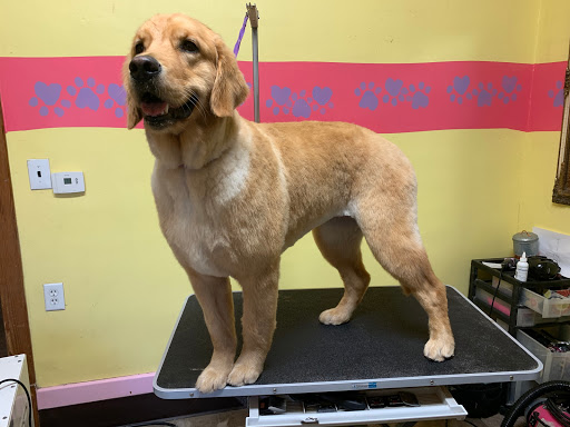 Bow-Wow Meows Fairy Tail Villa