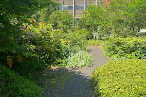 Ambler Arboretum of Temple University image