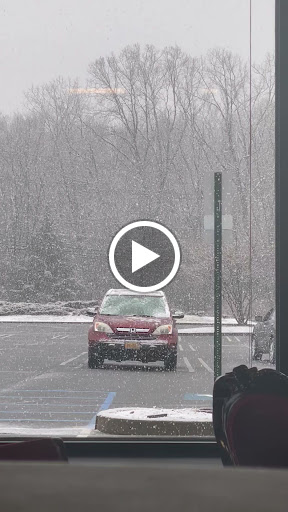 Explore back of arm tattoo ideas, creative tattoo ideas in Middletown, available at Orange County Tattoo & Body Piercing Studio