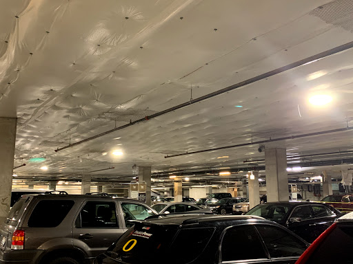 Grocery Store «Safeway», reviews and photos, 300 Bellevue Way NE, Bellevue, WA 98004, USA