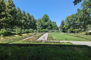 Bern Rose Garden image