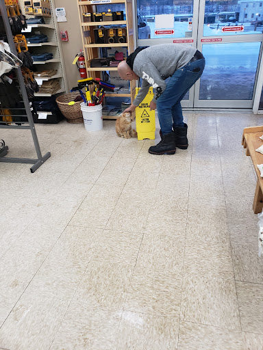 Garden Center «Winnisquam Agway», reviews and photos, 304 Daniel Webster Hwy, Belmont, NH 03220, USA