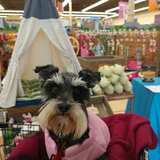 Pet Supply Store «Petco Animal Supplies», reviews and photos, 3637 2700 W, West Valley City, UT 84119, USA