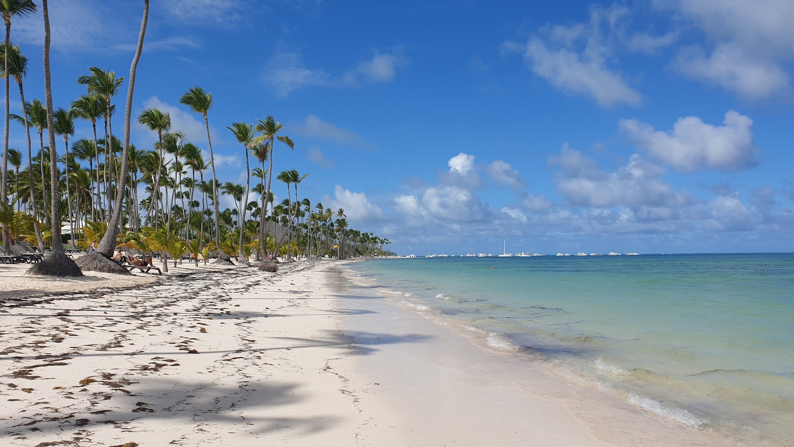 Foto van Bavaro II Strand met helder fijn zand oppervlakte