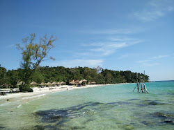 Zdjęcie Nature Beach z poziomem czystości wysoki