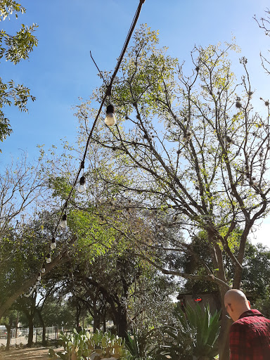 Winery «Helotes Creek Winery», reviews and photos, 14359 Old Bandera Rd #6, Helotes, TX 78023, USA