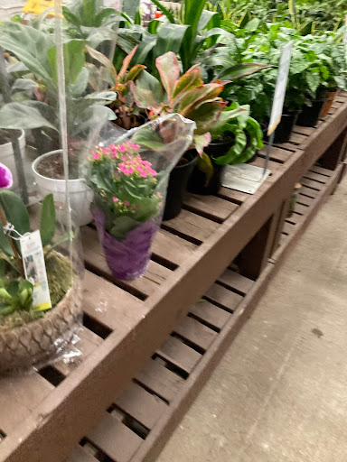 Home Improvement Store «The Home Depot», reviews and photos, 5858 Sawmill Rd, Dublin, OH 43017, USA