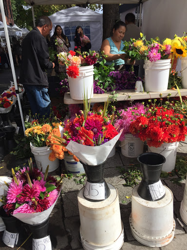 Market «Portland Saturday Market», reviews and photos, 2 SW Naito Pkwy, Portland, OR 97204, USA