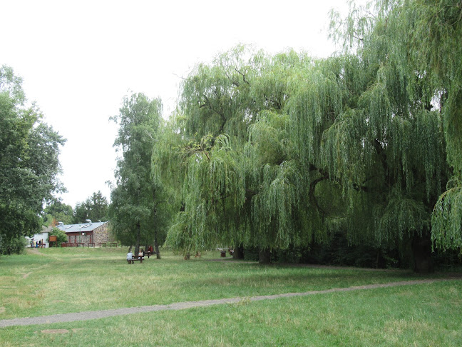 Pihenő park, nyársalóhely