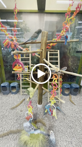 Pet Supply Store «Petco Animal Supplies», reviews and photos, 10511 S 15th St, Bellevue, NE 68123, USA