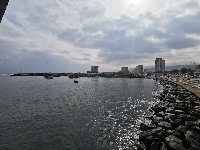Opiniones de Antofagasta Tour Chile en Antofagasta - Agencia de viajes