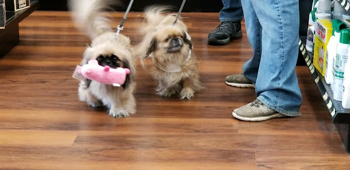 Pet Supply Store «Pet Barn Inc», reviews and photos, 167 Jennifer Rd # G, Annapolis, MD 21401, USA