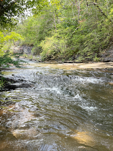 Tourist Attraction «Ozone Falls», reviews and photos, 14563 TN-1, Rockwood, TN 37854, USA