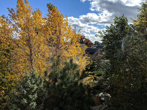 Park «Mills Reservation County Park», reviews and photos, Highland Ave, Cedar Grove, NJ 07009, USA