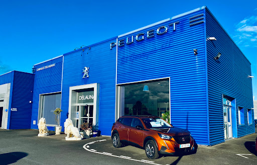 Garage Delaunay