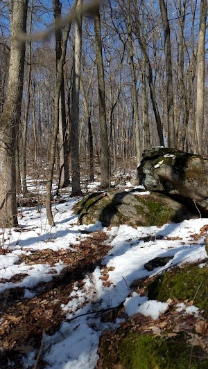 Wildlands Conservancy South Mountain Preserve - photo 27