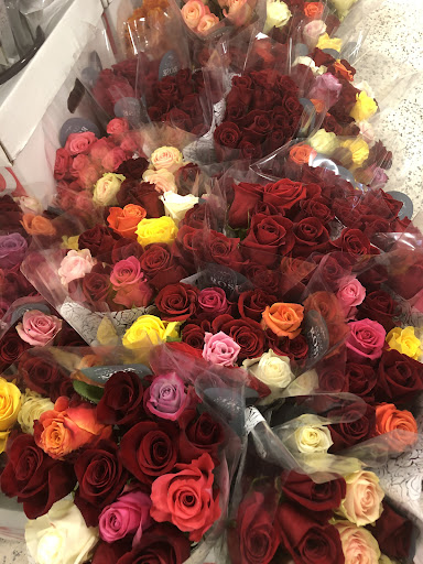 Supermarket «Publix Super Market at Shamrock Plaza», reviews and photos, 3870 N Druid Hills Rd NE, Decatur, GA 30033, USA