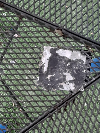 Park «Bicentennial Park», reviews and photos, 7300 Farragut St, Hollywood, FL 33024, USA