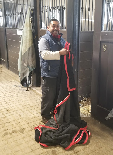 Tourist Attraction «The Tempel Lipizzans», reviews and photos, 17000 W Wadsworth Rd, Old Mill Creek, IL 60083, USA
