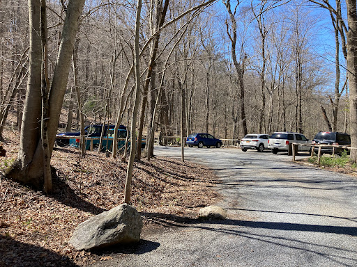 Nature Preserve «Mianus River Gorge Preserve», reviews and photos, 167 Mianus River Rd, Bedford, NY 10506, USA