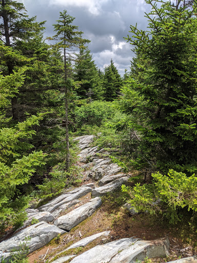 National Forest «Green Mountain and Finger Lakes National Forests», reviews and photos, 231 N Main St, Rutland, VT 05701, USA