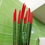 Photo n°9 de l'avis de Luciano.n fait le 04/04/2023 à 14:31 sur le  Chapeau 2.0 à Santa Maria Capua Vetere