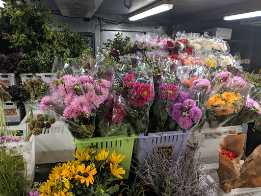 Florist «Austin Flower Co», reviews and photos, 1612 W 35th St, Austin, TX 78703, USA