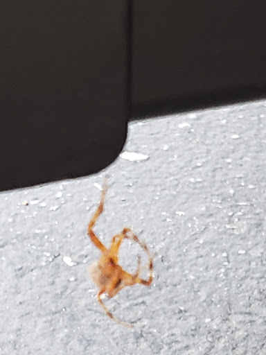 Home Improvement Store «The Home Depot», reviews and photos, 9200 Whittier Blvd, Pico Rivera, CA 90660, USA