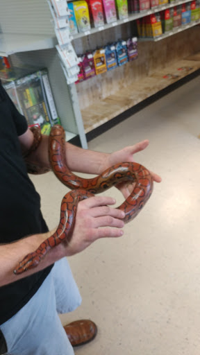 Pet Store «Everything Pet», reviews and photos, 3616 N Fry Rd, Katy, TX 77449, USA