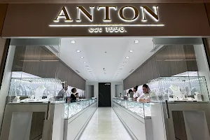 Anton image