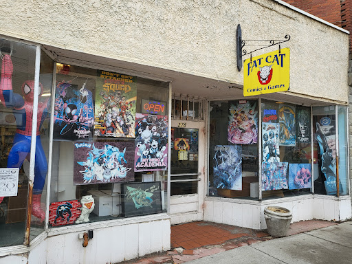 Fat Cat Comics, 278 Main St, Johnson City, NY 13790, USA, 