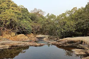 Kuldiha forest guide image