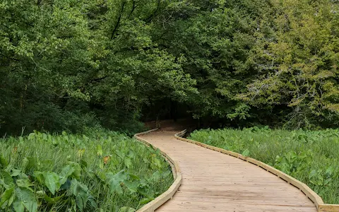The State Botanical Garden of Georgia image