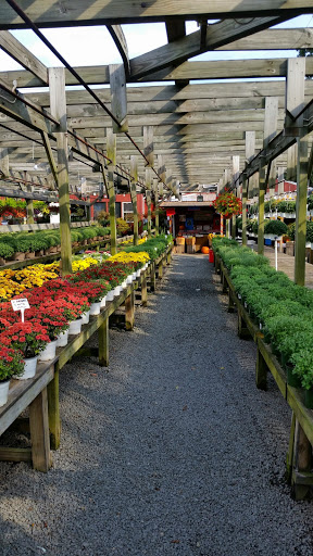 Garden Center «Nalls Produce», reviews and photos, 7310 Beulah St, Alexandria, VA 22315, USA