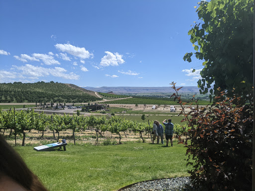 Winery «Ste. Chapelle Winery», reviews and photos, 19348 Lowell Rd, Caldwell, ID 83607, USA