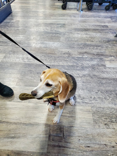 Pet Supply Store «Pet Supermarket, Inc.», reviews and photos, 1052 Peachtree Industrial Blvd, Suwanee, GA 30024, USA