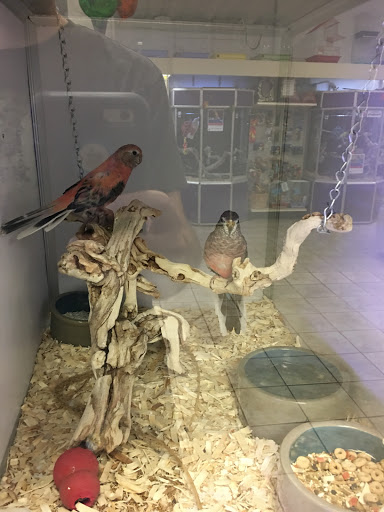 Pet Store «Pet City Pet Shops», reviews and photos, 750 Citadel Dr N # 2092, Colorado Springs, CO 80909, USA