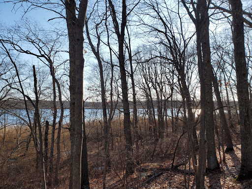 Ryan Park Trailhead