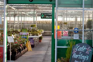 Hartley's Nurseries: Flowers, Plants and Cafe image