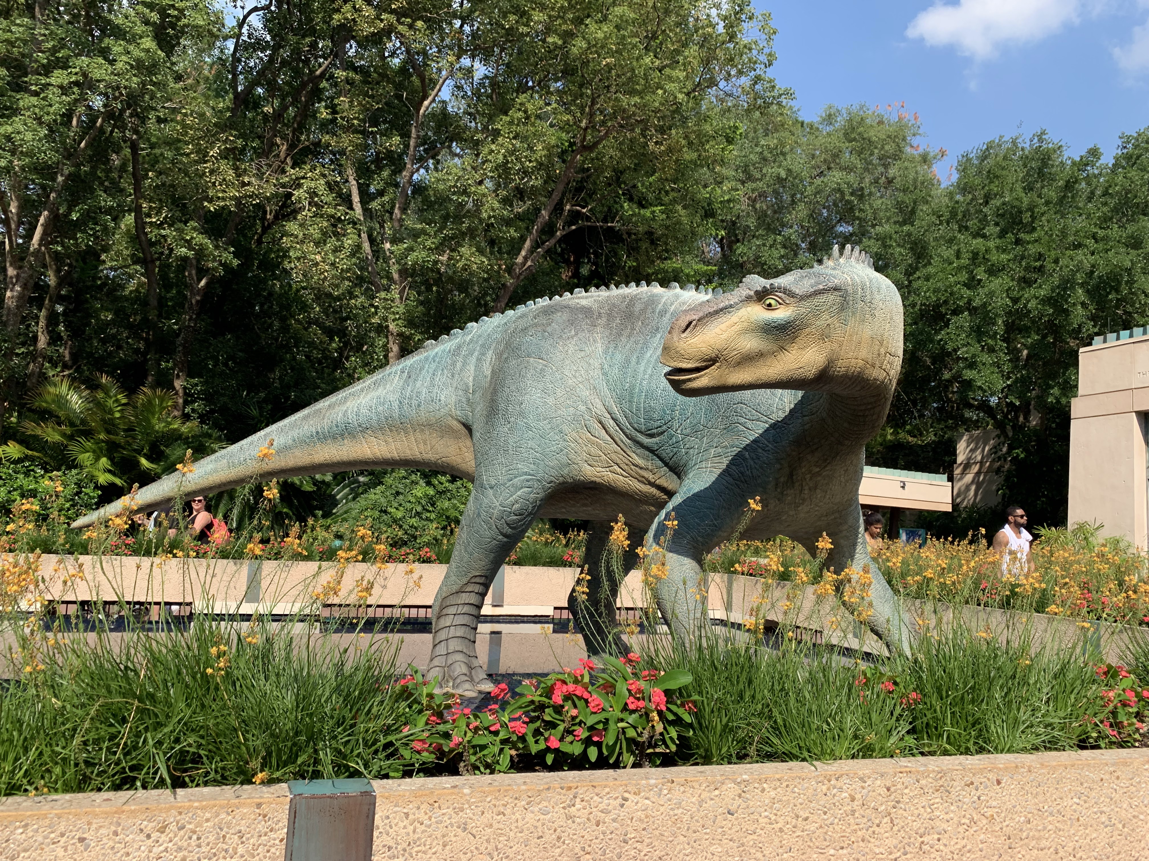 Picture of a place: DINOSAUR