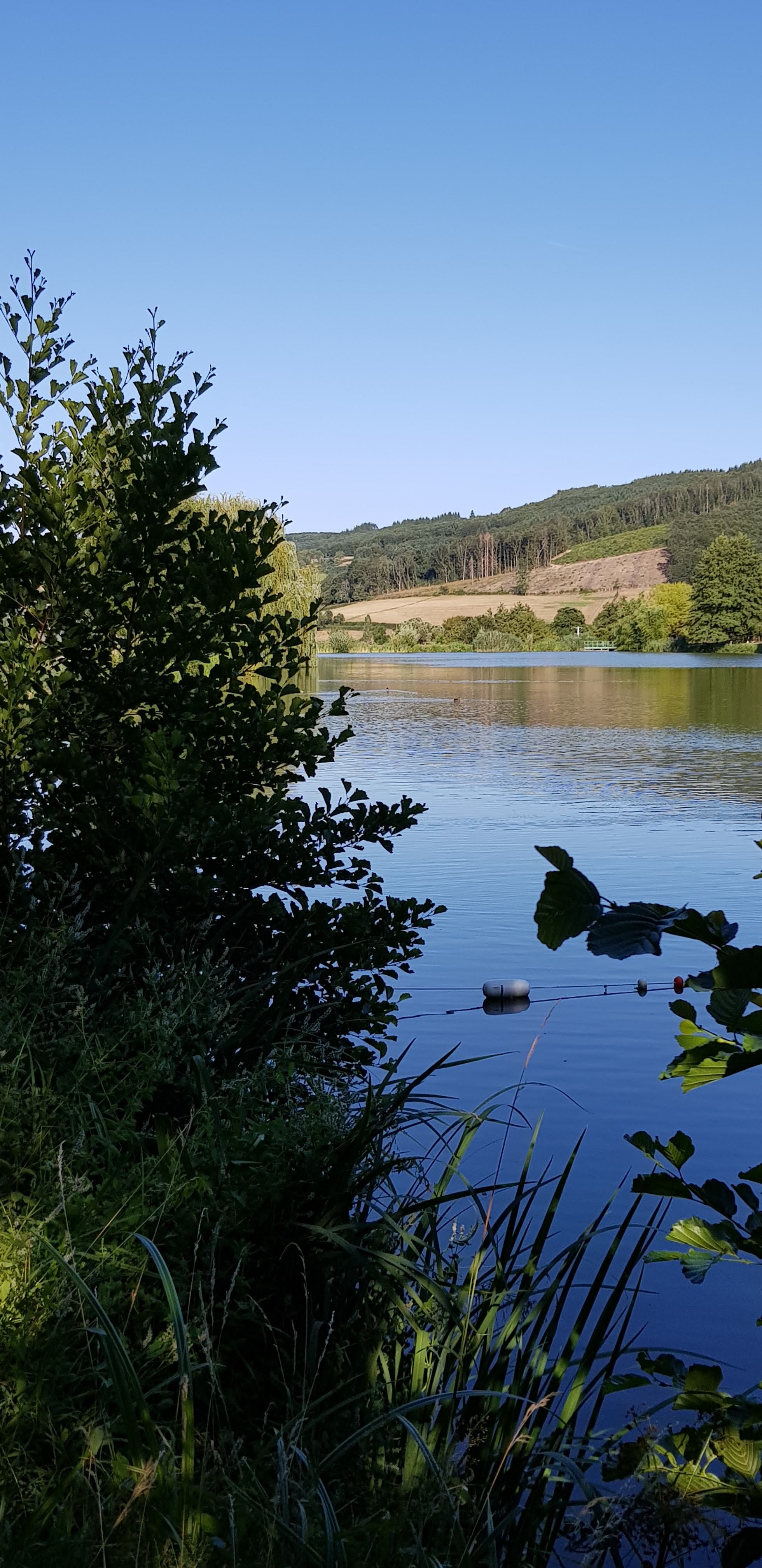 Photo n° 7 de l'avis de Nicole.a fait le 07/08/2019 à 12:56