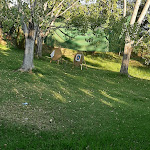 Photo n°5 de l'avis de Francesca.a fait le 07/09/2021 à 12:50 sur le  G. Forte Club à Scalea