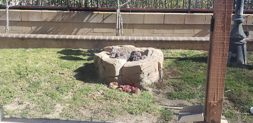 Pet Supply Store «PetSmart», reviews and photos, 17651 Colima Rd, City of Industry, CA 91748, USA