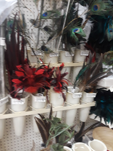 Craft Store «Michaels», reviews and photos, 12425 SW 88th St, Miami, FL 33186, USA